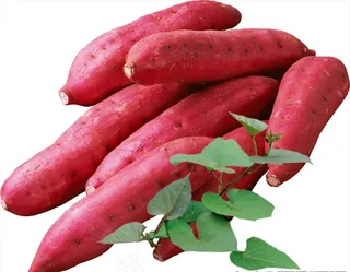 高清免扣分层红薯素材图片