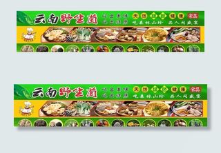 云南野生菌图片