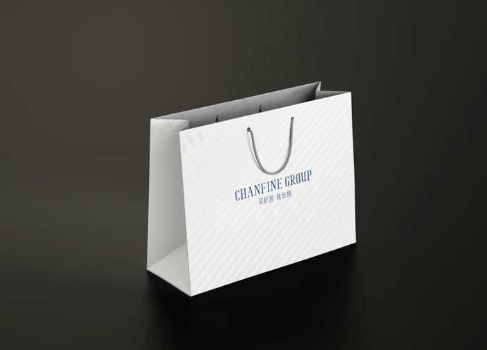 手提袋样机图片