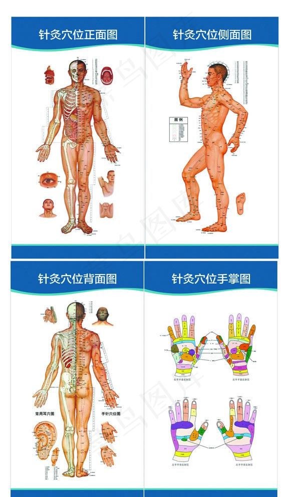 针炙图图片(550X1000)cdr矢量模版下载