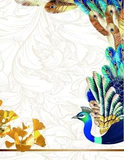 孔雀背景图片