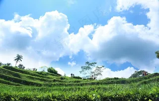 天白云背景图片