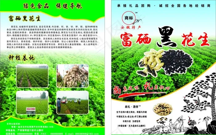 黑花生单页图片cdr矢量模版下载