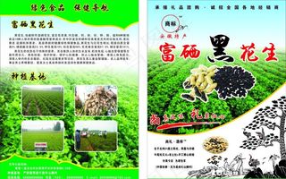 黑花生单页图片