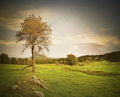 草原草地图片 草原草地图片