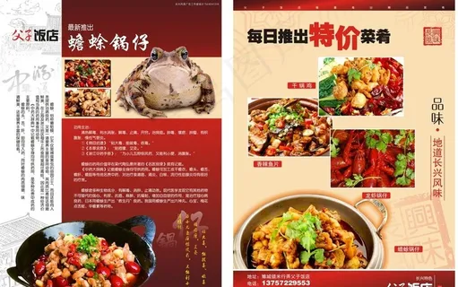 蟾蜍宣传单图片