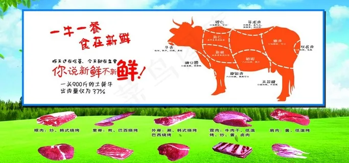 牛肉 分割图图片