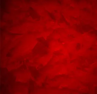红色背景图片