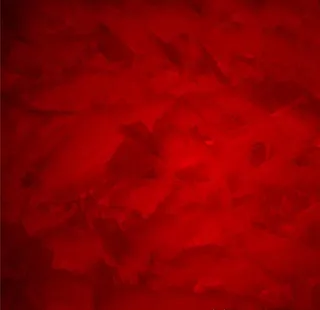 红色背景图片