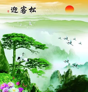 迎客松图片 迎客松图片