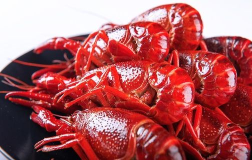 龙虾图片