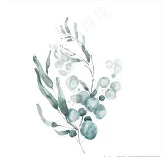 小清新水彩植物树枝图片