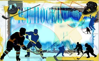 欢乐曲棍球图片