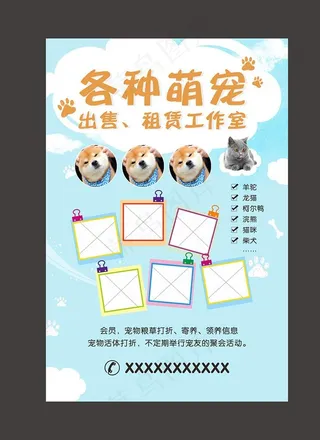 宠物店海报宠物美容洗护寄养传单图片