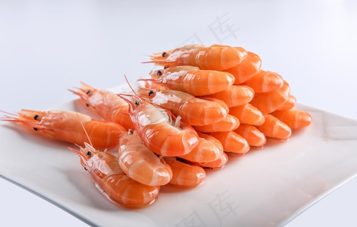 虾图片