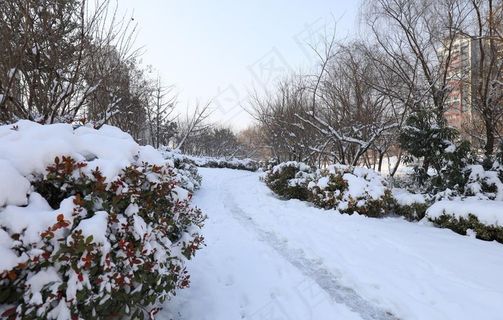 雪景图片