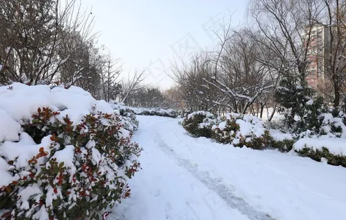 雪景图片 雪景图片