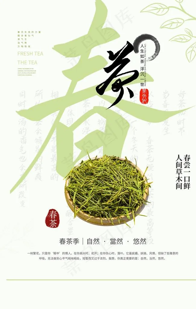 春茶茶叶活动宣传海报素材图片(3543X5315(DPI:300))psd模版下载