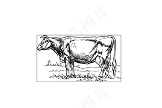 精品牛手绘矢量图片