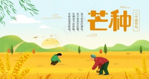 芒种图片