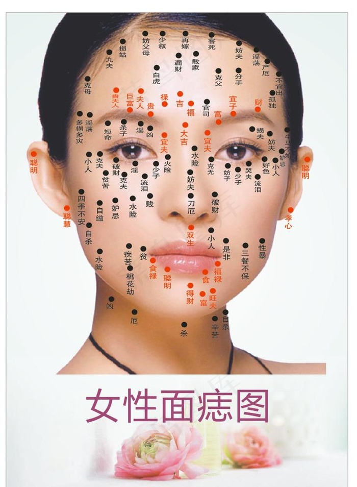女性面痣图图片cdr矢量模版下载