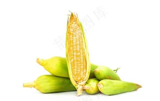 玉米图片
