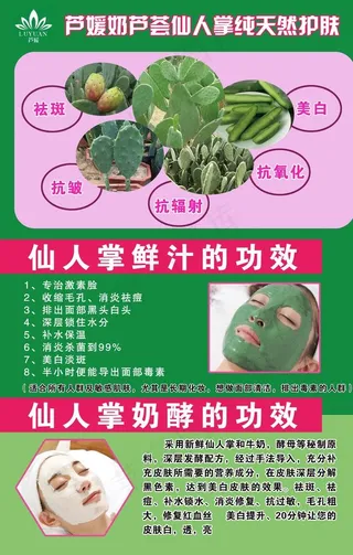 仙人掌护肤图片