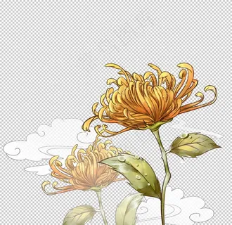 菊花图片 菊花图片