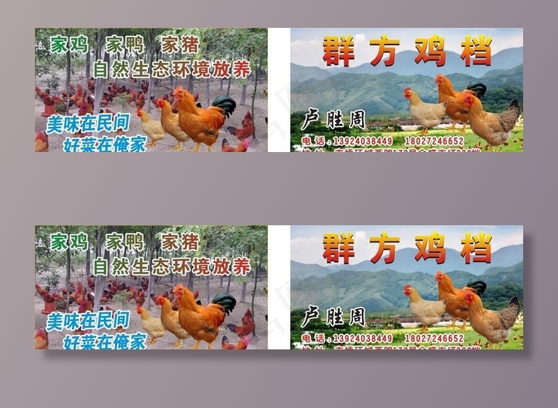 鸡档名片图片cdr矢量模版下载