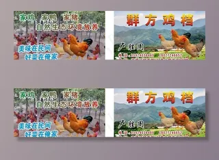 鸡档名片图片