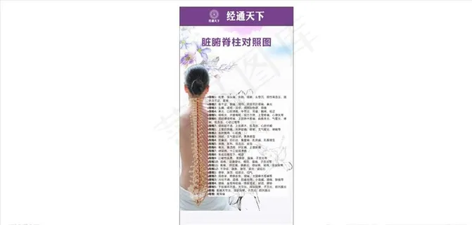 经通天下脏腑脊柱对照图图片