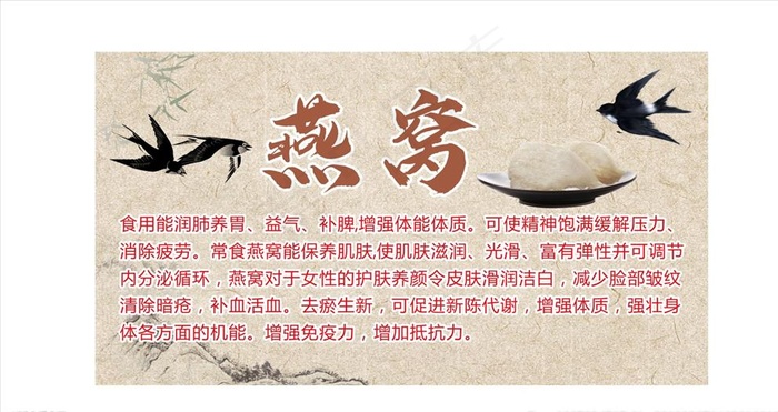 燕窝图片cdr矢量模版下载