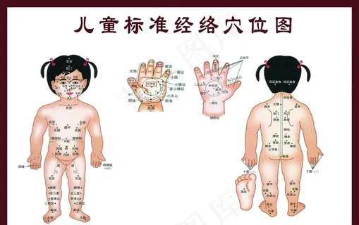 儿童标准经络穴位图图片