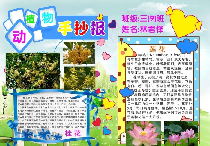 动植物手抄报图片cdr矢量模版下载