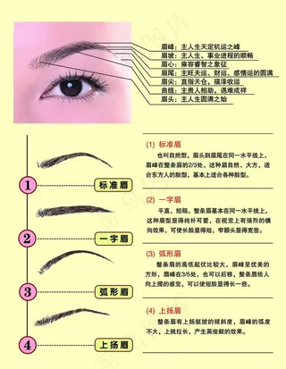 各种眉毛简介图片