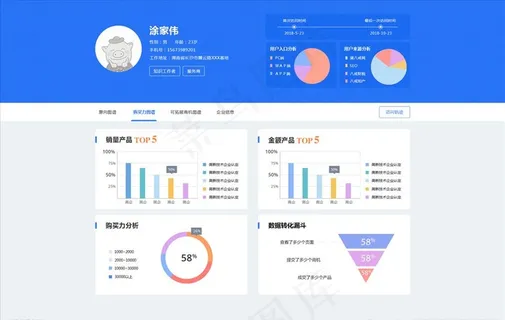 数据分析 用户画像图片