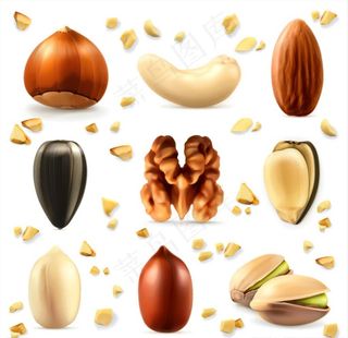 矢量坚果元素图片
