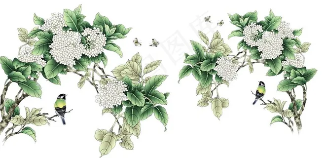 花图片 花图片