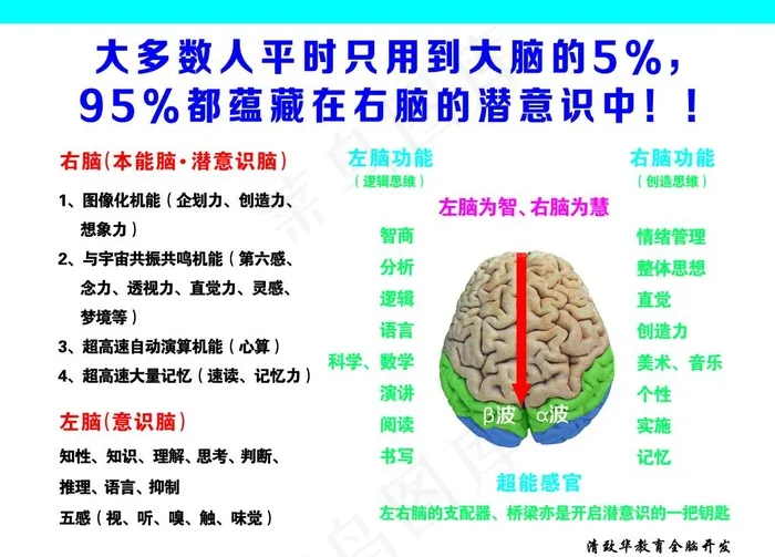 左脑为智、右脑为慧图片psd模版下载
