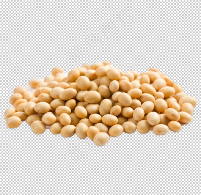 黄豆图片