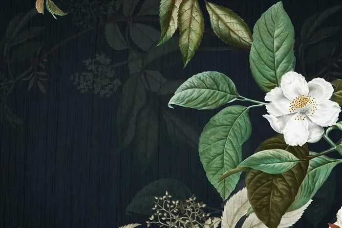 手绘花草图片(4000X2800(DPI:300))psd模版下载