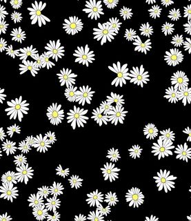 手绘小菊花图片 手绘小菊花图片