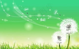 绿色背景图片