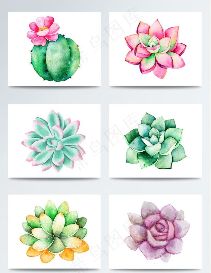 手绘水彩多肉和鲜花卡通素材合集图片
