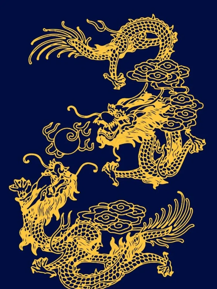 龙图片ai矢量模版下载