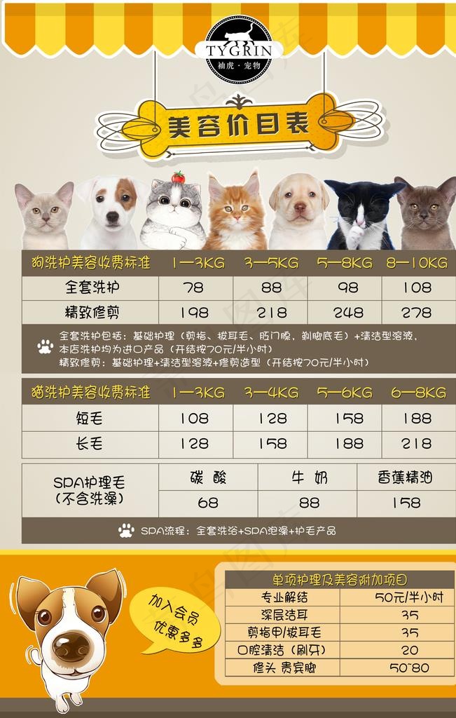 宠物店 价目表 美容 猫猫 狗图片(3150X4724(DPI:100))psd模版下载