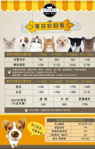宠物店 价目表 美容 猫猫 狗图片