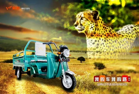 金彭神豹电动三轮车图片