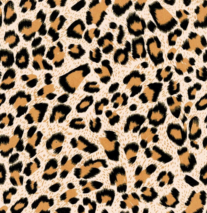 豹纹图片