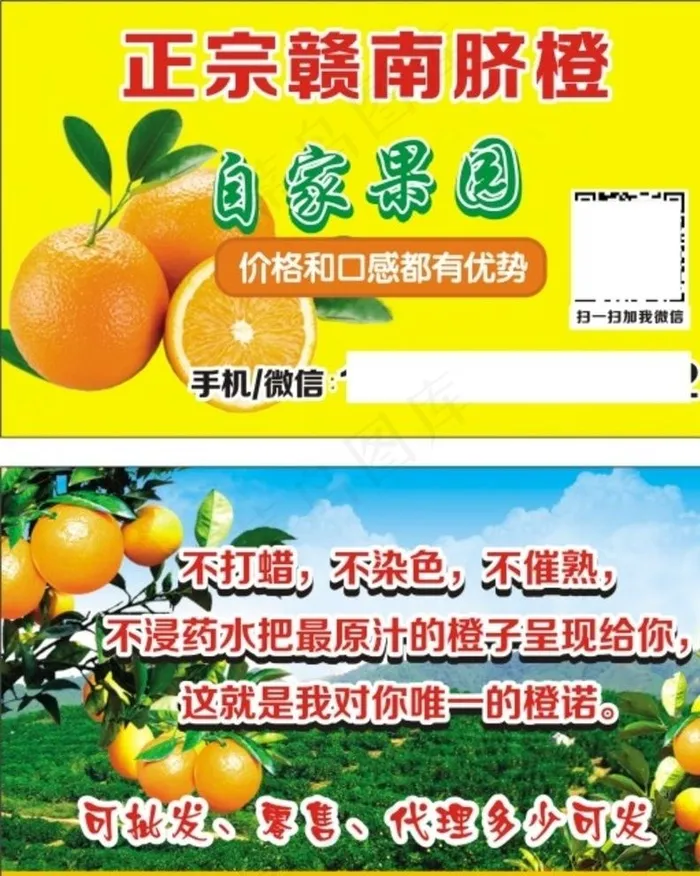 赣南脐橙  名片  自家果园图片cdr矢量模版下载